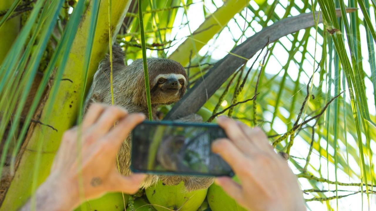 Pacaya Samiria Amazon Lodge Nauta Dış mekan fotoğraf