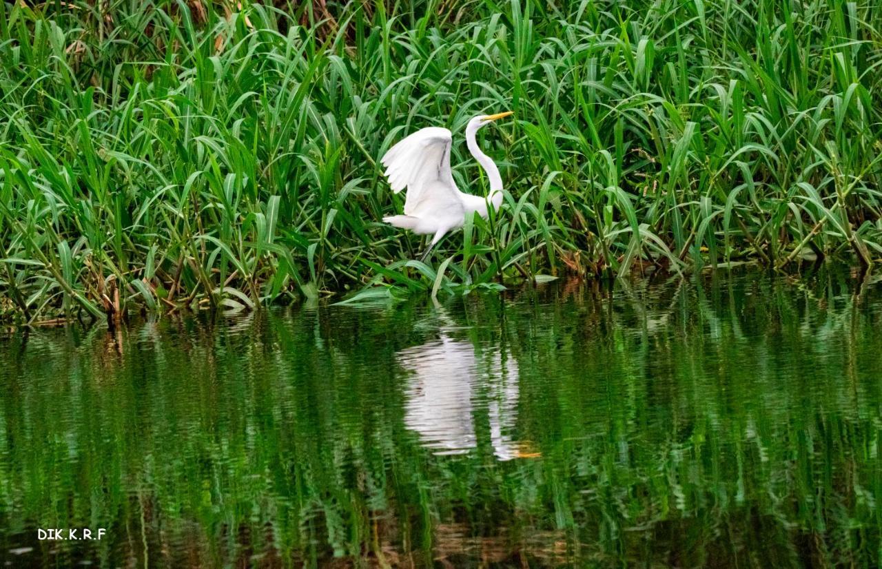 Pacaya Samiria Amazon Lodge Nauta Dış mekan fotoğraf